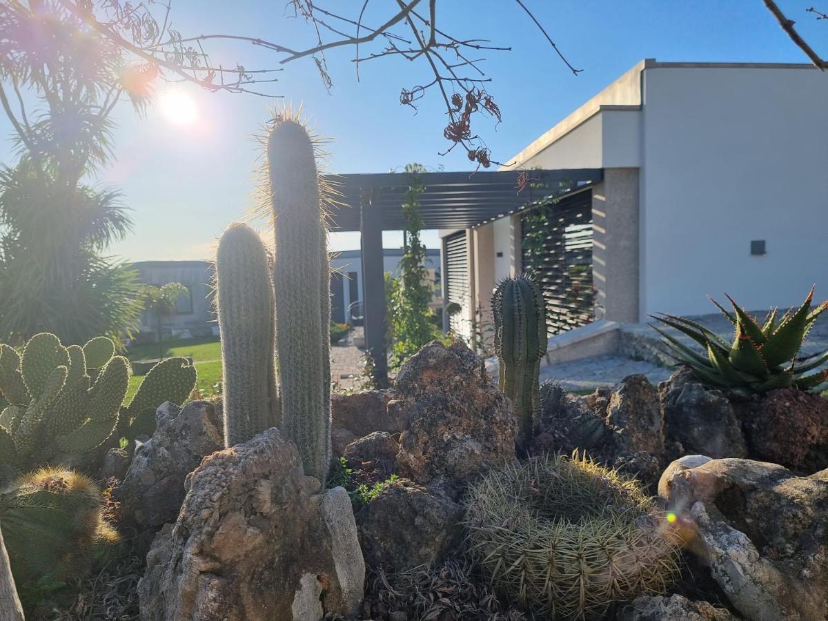 Casa Da Leira Villa อามารังติ ภายนอก รูปภาพ