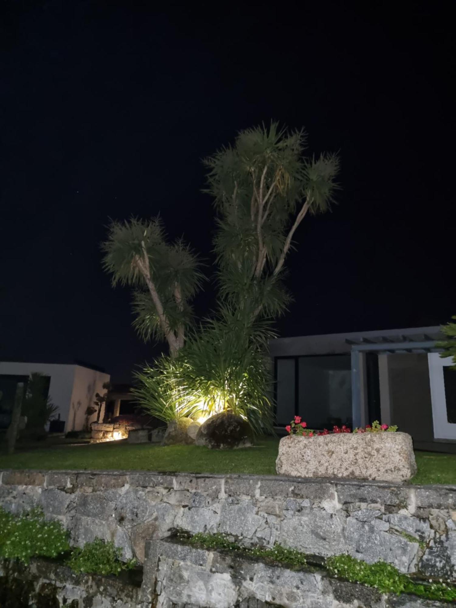 Casa Da Leira Villa อามารังติ ภายนอก รูปภาพ
