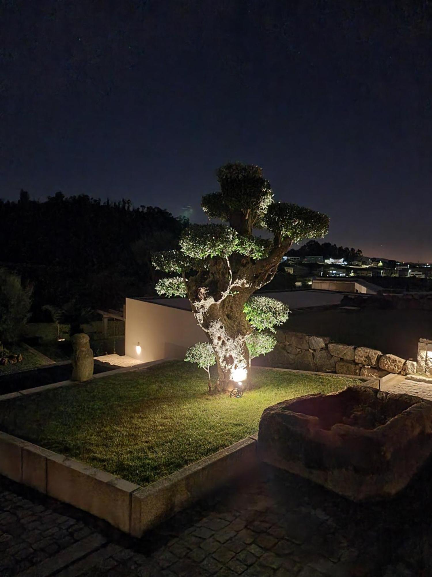 Casa Da Leira Villa อามารังติ ภายนอก รูปภาพ