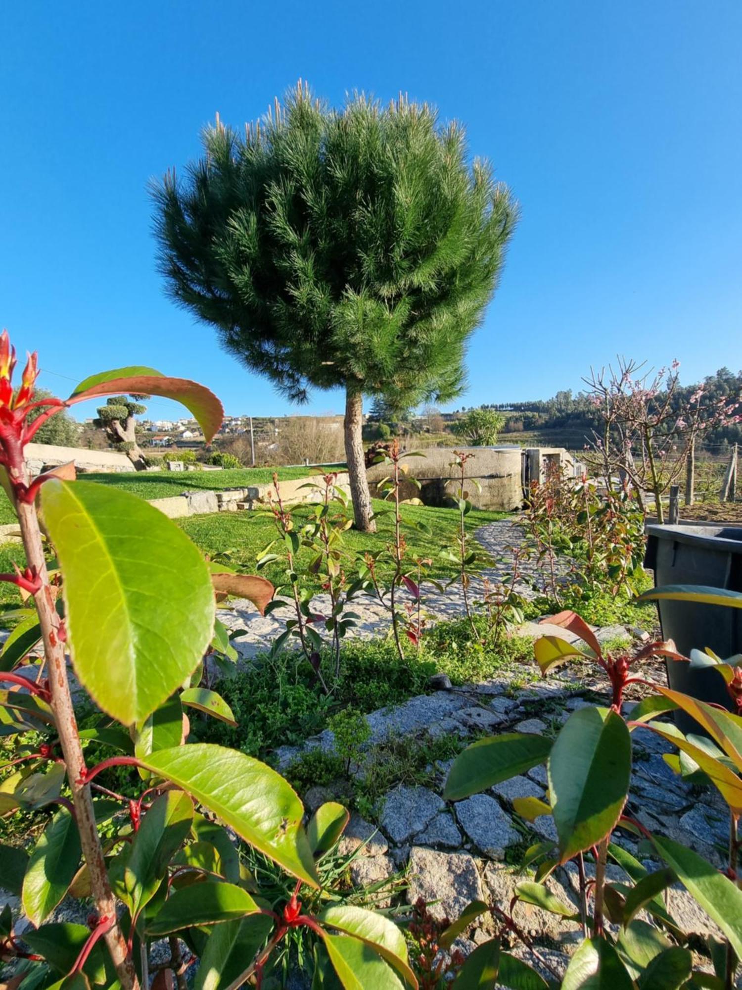 Casa Da Leira Villa อามารังติ ภายนอก รูปภาพ