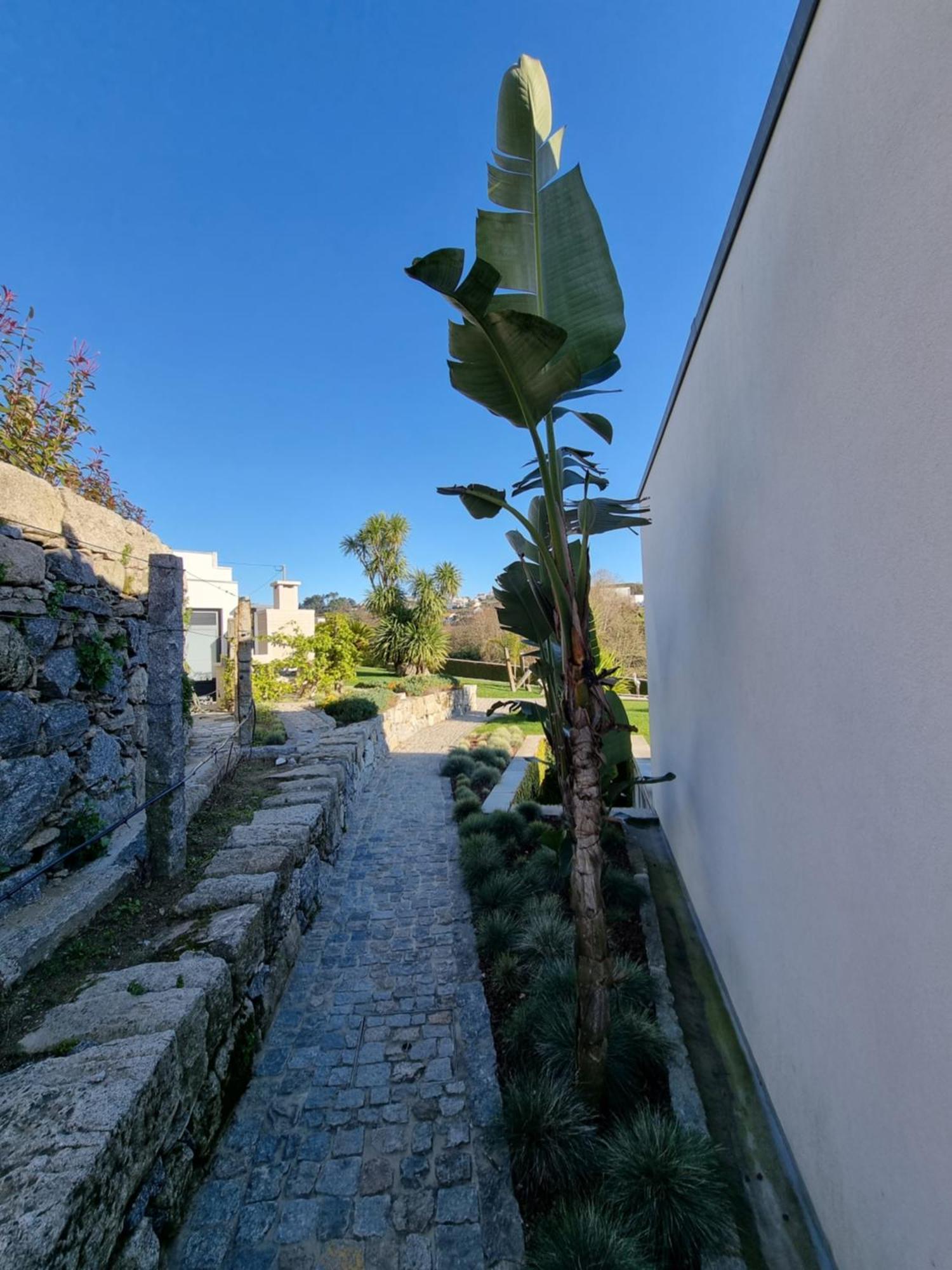 Casa Da Leira Villa อามารังติ ภายนอก รูปภาพ
