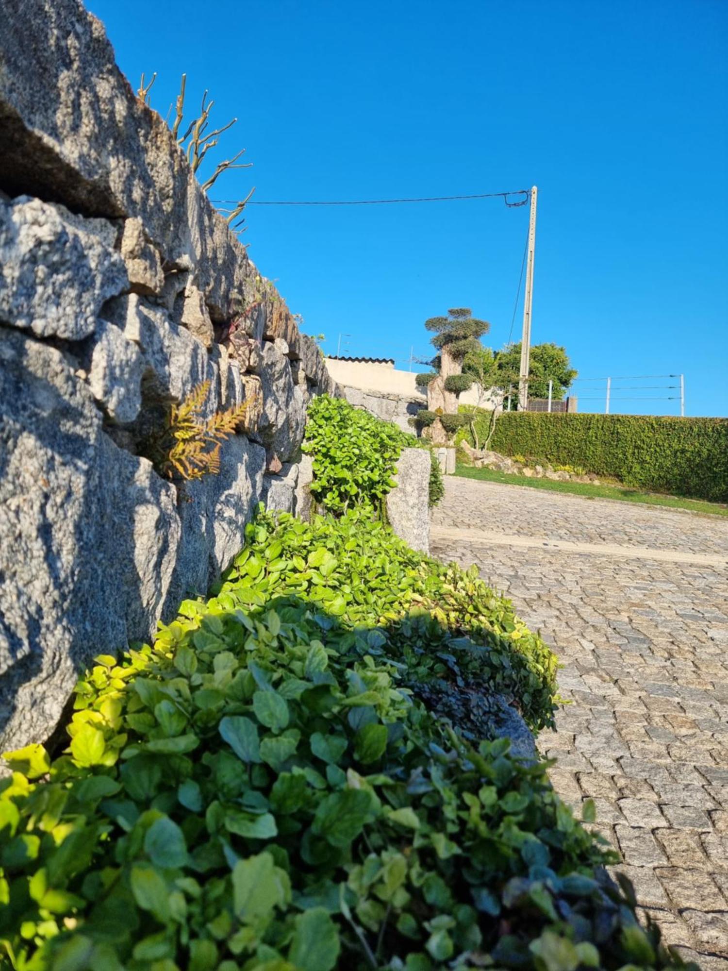 Casa Da Leira Villa อามารังติ ภายนอก รูปภาพ