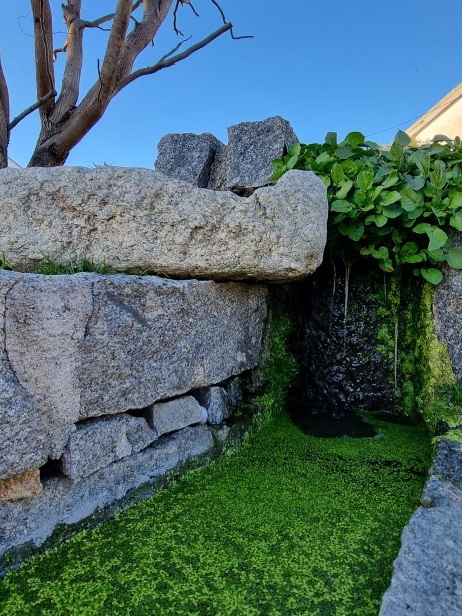 Casa Da Leira Villa อามารังติ ภายนอก รูปภาพ