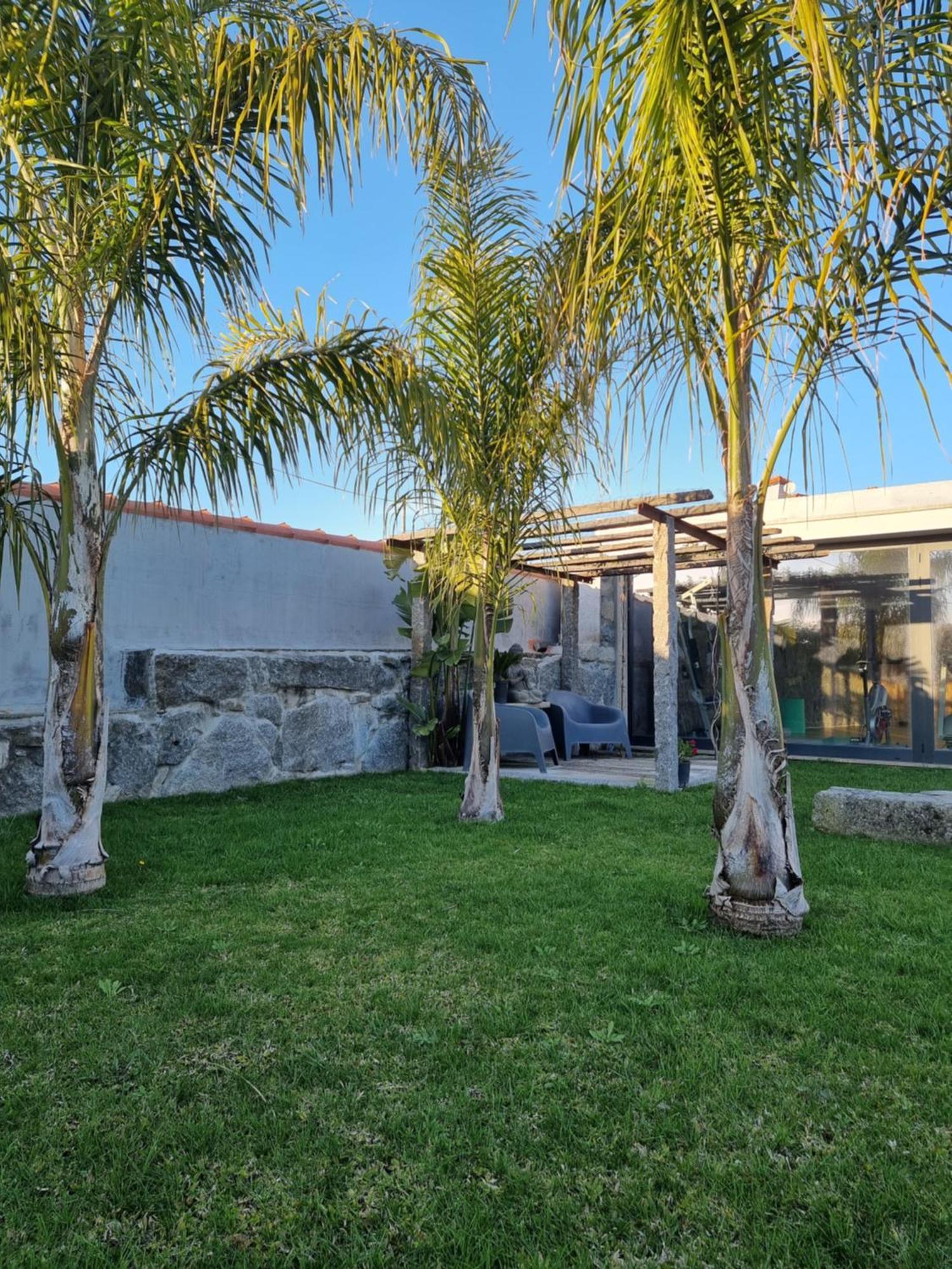 Casa Da Leira Villa อามารังติ ภายนอก รูปภาพ