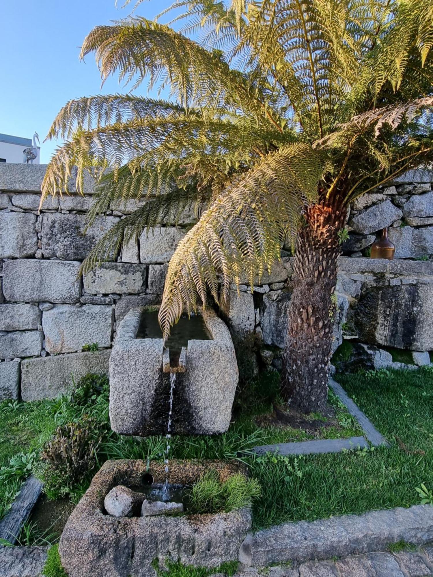 Casa Da Leira Villa อามารังติ ภายนอก รูปภาพ